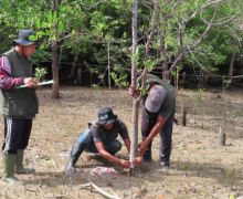 YKAN Turut Lestarikan Sumber Air & Mata Pencaharian Lewat Restorasi Mangrove Berbasis Masyarakat - JPNN.com
