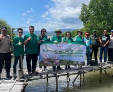 Komitmen MPMX Untuk Terus Melanjutkan Program Rehabilitasi Mangrove - JPNN.com