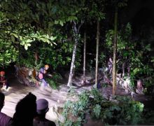 Sempat Hilang, 3 Korban Banjir di Tanggamus Ditemukan Selamat - JPNN.com