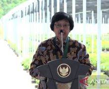 Menteri LHK Siti Nurbaya: Bibit dari Persemaian Mentawir untuk IKN - JPNN.com