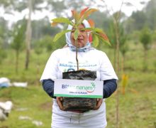 BRI Masuk dalam Daftar CNBC Indonesia Green Business Ratings 2024 - JPNN.com