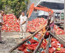 21 Ton Bawang Bombay Ilegal Dimusnahkan Polda Riau - JPNN.com