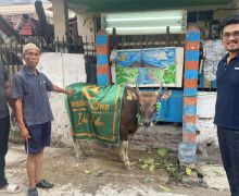 Rayakan Iduladha, Diesel One Solidarity Berbagi Daging Kurban - JPNN.com
