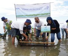 Wujudkan NZE, Asuransi Astra Tanam 1.000 Bibit Mangrove di Kepulauan Seribu - JPNN.com