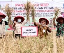 Bupati Nina Agustina Mengajak Seluruh Elemen Meningkatkan Pertanian Indramayu - JPNN.com