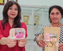 PENEMU Temui Penggiat Budi Daya Rumput Laut di Kupang, Ini Hasilnya - JPNN.com