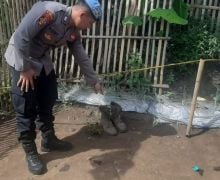 Warga Temukan Granat di Garut, Pin Pengaman Ditarik, Duaarrr, 4 Orang Terluka - JPNN.com