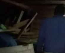 Kawanan Gajah Liar Rusak Rumah Warga di Lampung Barat - JPNN.com