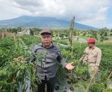 Gandeng Unas, Kementan Kembangkan Kampung Hortikultura Ramah Lingkungan di Sukabumi - JPNN.com