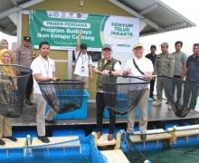 Baznas Bazis DKI Panen Ikan Kerapu Centang di Pulau Tidung, Sebegini Jumlahnya - JPNN.com