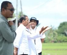 Suksesnya Produktivitas Pertanian di Bone, Pupuk Indonesia Siapkan Lebih dari 4.800 Ton Pupuk Bersubsidi - JPNN.com