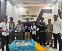 Bea Cukai Gagalkan Penyelundupan 156 Ekor Belangkas dan Benih Sawit Tujuan Malaysia - JPNN.com
