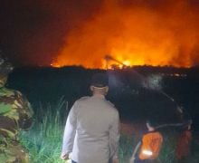 10 Hektare Lahan Terbakar di Ogan Hilir, Begini Kondisinya - JPNN.com