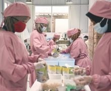 Kisah Sukses UMKM Kue Macaron di Bandung, Omzetnya Meroket Berkat Program BRIncubator - JPNN.com