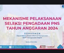 Terbit 2 KepmenPANRB tentang Seleksi CPNS 2024, Kok PPPK Belum? - JPNN.com