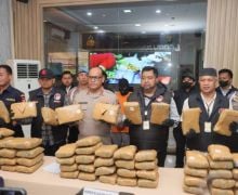 Polres Jakut Menggagalkan Peredaran 77 Kg Ganja, Tangkap 2 Pelaku - JPNN.com