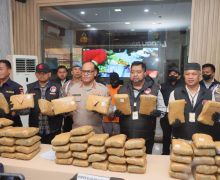 Polisi Gagalkan Peredaran 77 Kilogram Ganja di Jakarta Utara - JPNN.com