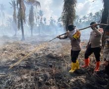 Kapolres Inhil AKBP Budi Setiawan Ikut Berjibaku Padamkan Karhutla di Lahan Gambut - JPNN.com