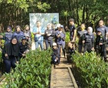 Tekan Risiko Bencana, PNM Tanam 50 Ribu Bibit Mangrove di 14 Kota - JPNN.com