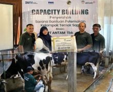 Sinergi PNM dan ANTAM Dorong Peternak Sapi Lokal Tingkatkan Kualitas dan Suplai Susu - JPNN.com