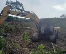 Polda Riau Bekuk Perambah Hutan di Bukit Rimbang Baling - JPNN.com