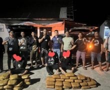 55 Kilogram Ganja Asal Panyabungan Madina Gagal Beredar di Sumbar - JPNN.com