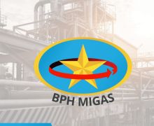 Menuju NZE, BPH Migas Tegaskan Pentingnya Optimalisasi Gas Bumi sebagai Energi Transisi - JPNN.com