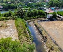 Menyambut HUT RI, PT Bigga Damai Utama Tanam 1.000 Bibit Mangrove di Pantai Pasir Kadilangu - JPNN.com