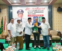 PKB Merapat, Dukung Aep Syaepuloh di Pilkada Karawang - JPNN.com