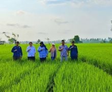 Tingkatkan Produksi Padi, Kementan Berikan 153 Pompa Air ke Kabupaten Bengkulu Selatan - JPNN.com