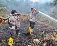 Tim Gabungan Masih Berjibaku Memadamkan Karhutla di Pulau Galang Inhu - JPNN.com