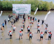 PTK Tanam 5.500 Bibit Mangrove & Resmikan Rumah Pembibitan di Bali untuk Lindungi Lingkungan Pesisir - JPNN.com