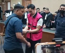 Sidang Kasus Korupsi Timah, Harvey Moeis Bicara Soal Uang 1,5 Juta Dolar - JPNN.com