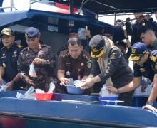 Bea Cukai Batam Gagalkan Penyelundupan 795.500 Ekor Benih Lobster, Begini Kronologinya - JPNN.com