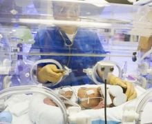 Tingkat Kelahiran Bayi Prematur di Indonesia Masih Tinggi, AstraZeneca Edukasi Bahaya Infeksi RSV - JPNN.com