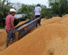 PLTU Ombilin Manfaatkan Limbah Serbuk Kayu Untuk Gantikan Batu Bara, Perekonomian Masyarakat Meningkat - JPNN.com