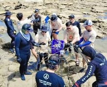 Dorong Kesejahteraan di Pesisir, PNM Peduli Tanam Ribuan Mangrove dan Terumbu Karang - JPNN.com