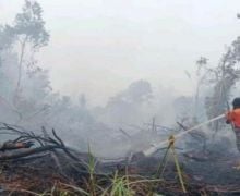 Luas Lahan yang Terbakar di Sungai Rotan Muara Enim Mencapai 53 Hektare - JPNN.com