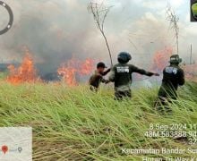 Setelah 2 Hari, Kebakaran di Taman Nasional Way Kambas Akhirnya Padam - JPNN.com