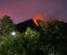 BPBD Jateng Ungkap Penyebab Gunung Telomoyo Terbakar, Ternyata - JPNN.com