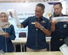 Benih Lobster Rp 22,2 Miliar Gagal Beredar ke Luar Negeri - JPNN.com