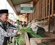 Balai Ternak dan Rumah Kompos Bantu Tingkatkan Ekonomi Warga Desa - JPNN.com