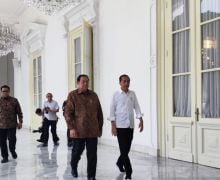 Jokowi & SBY Sepakat Memberi Dukungan Penuh kepada Pemerintahan Prabowo Subianto - JPNN.com