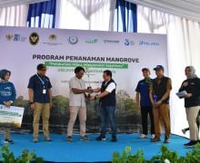 Realisasikan TJSL, Pelindo Gelar Kick Off Rehabilitasi Mangrove 2024 - JPNN.com