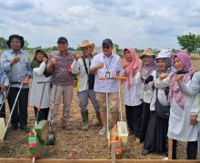 Pacu PAT, Kementan Bersama Pemkab Tanah Laut Menggerakkan Tanam Serentak - JPNN.com