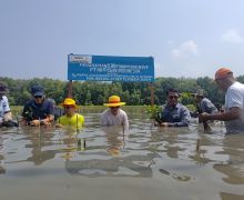 Tunjukkan Kepedulian Lingkungan, PT Nippisun Tanam 5 Ribu Pohon Mangrove di Bekasi - JPNN.com