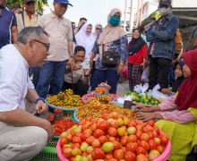 Pengamat Nilai Program Pertanian Ahmad Ali-Abdul Karim Solusi Efektif Masalah di Sulteng - JPNN.com