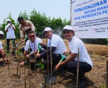 ASDP Tanam 3 Ribu Bibit Mangrove di Tangerang, Wujud Komitmen Jaga Kualitas Perairan - JPNN.com