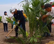 PTPN IV PalmCo Targetkan 2,1 Juta Bibit Unggul Diserap Petani Sawit - JPNN.com