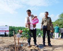 Lakukan Penanaman Pohon di Buffer Zone Tambang, Akmal Malik: Bentuk Sedekah untuk Alam - JPNN.com